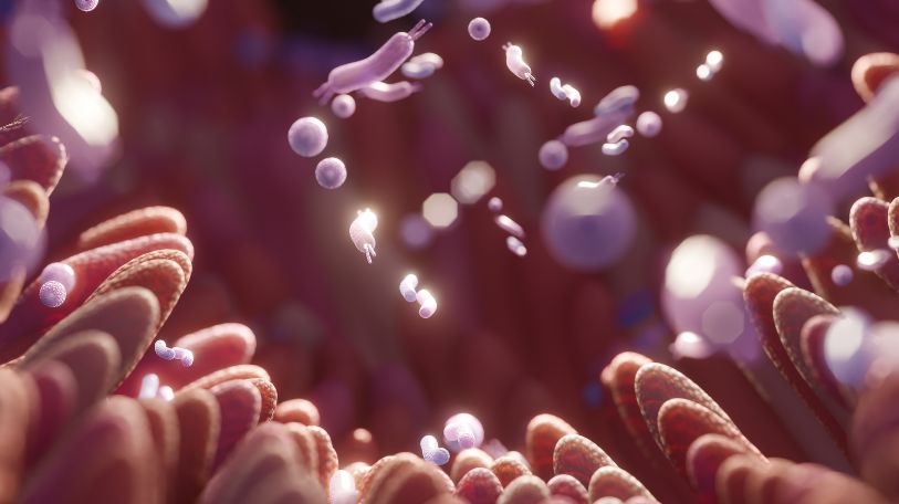 micriobiote buccal sain